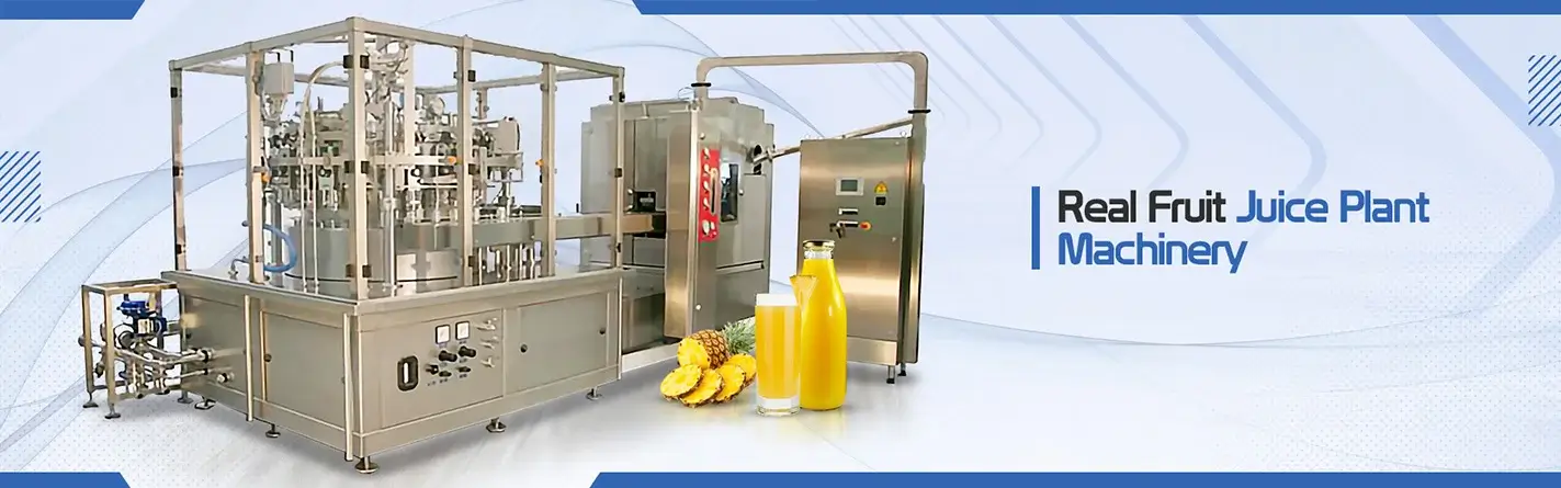 Fully Automatic Pet Blow Molding Machine